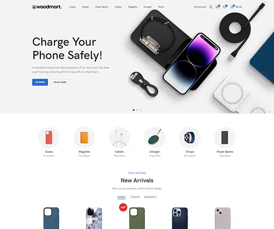 Accessories prebuilt website home page