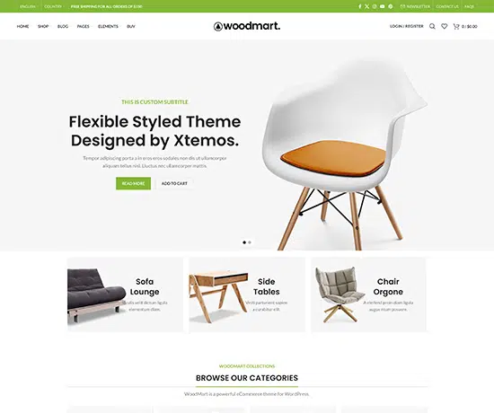 Basic prebuilt website preview