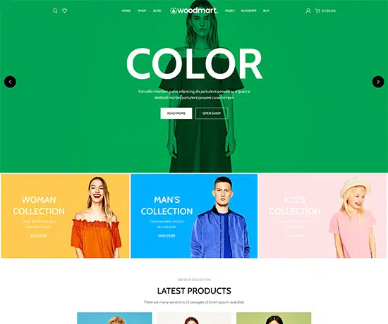 Fashion Color prebuilt website preview