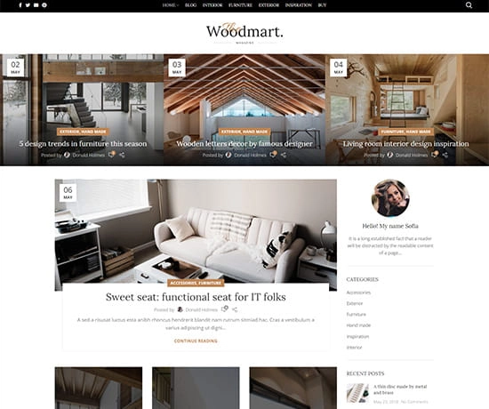 Magazine prebuilt website preview