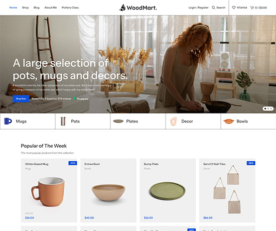 Pottery prebuilt website preview