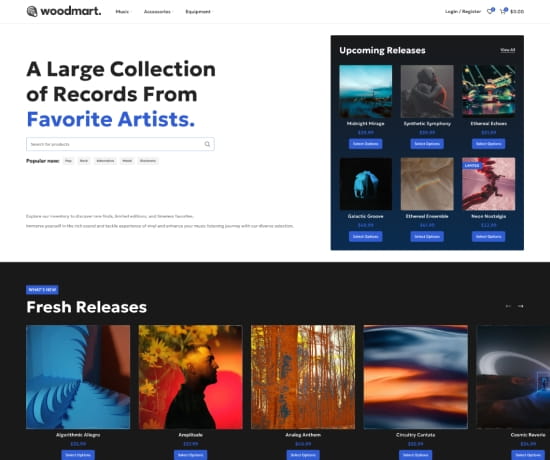 Vinyls prebuilt website preview