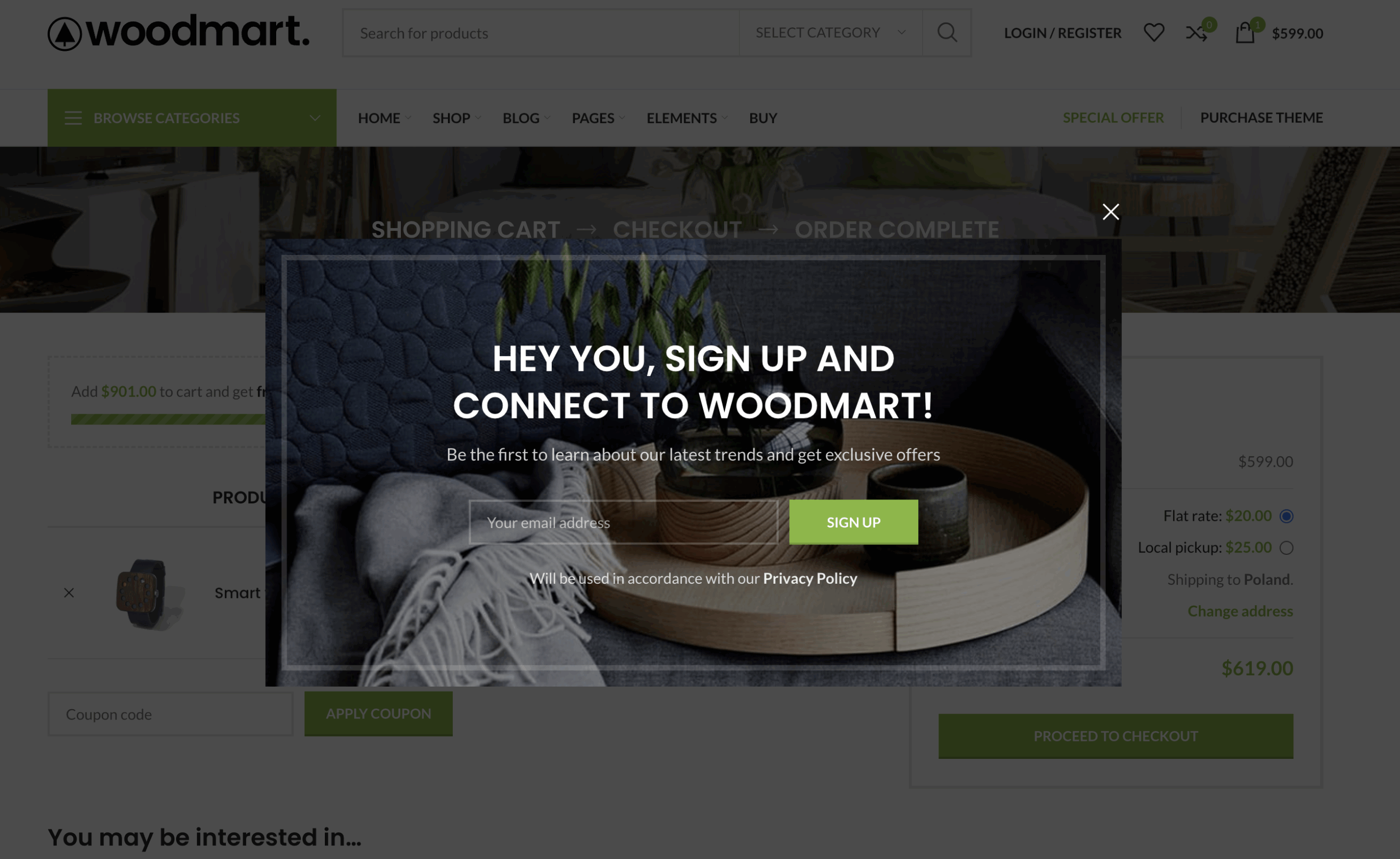 Promo popup displayed on a WoodMart website.