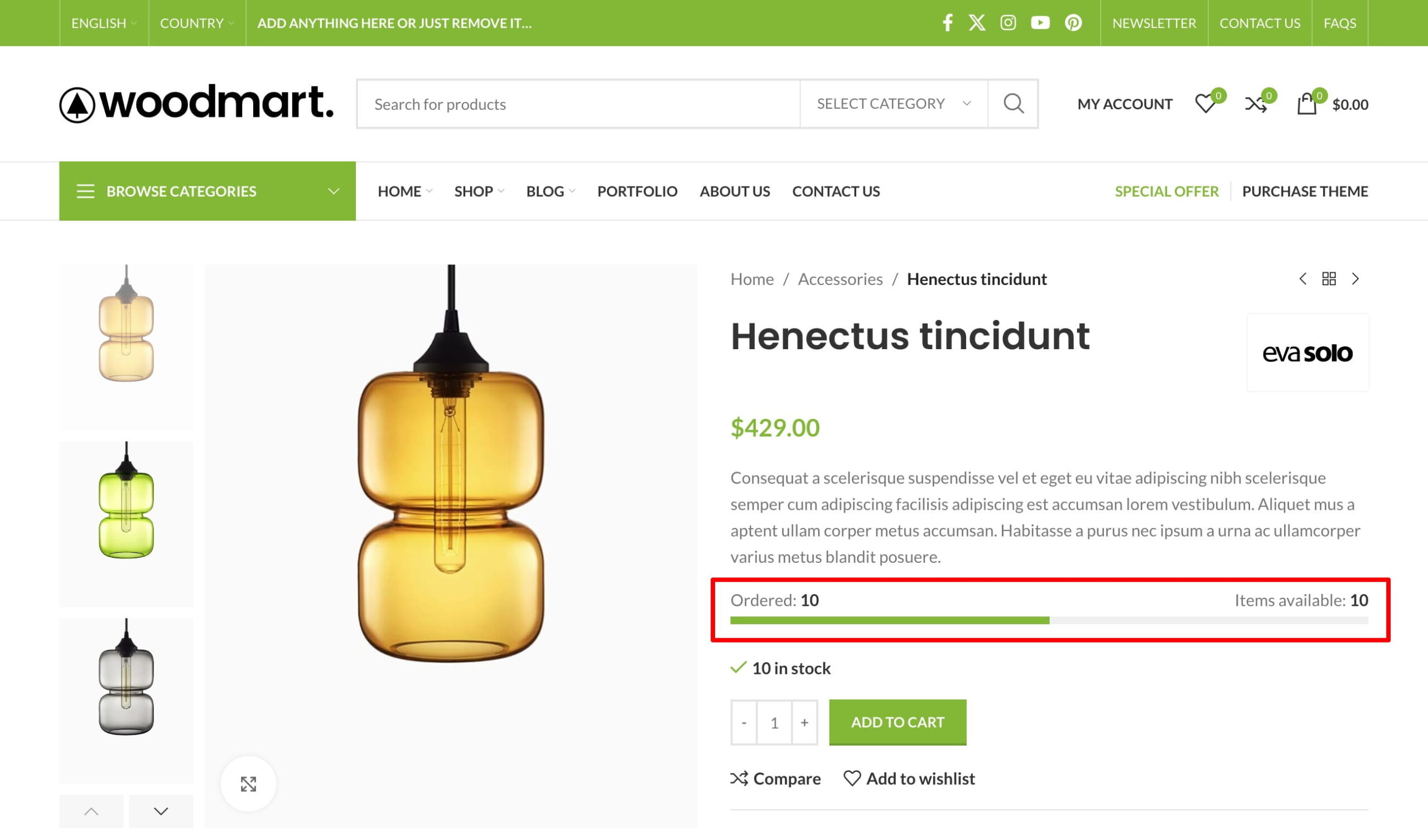 Stock progress bar on a single product page.