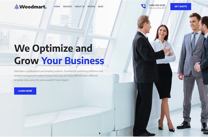 Demo Corporate 2